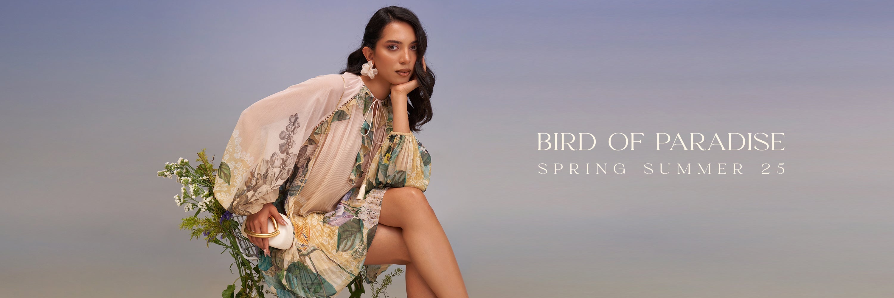 Bird of paradise