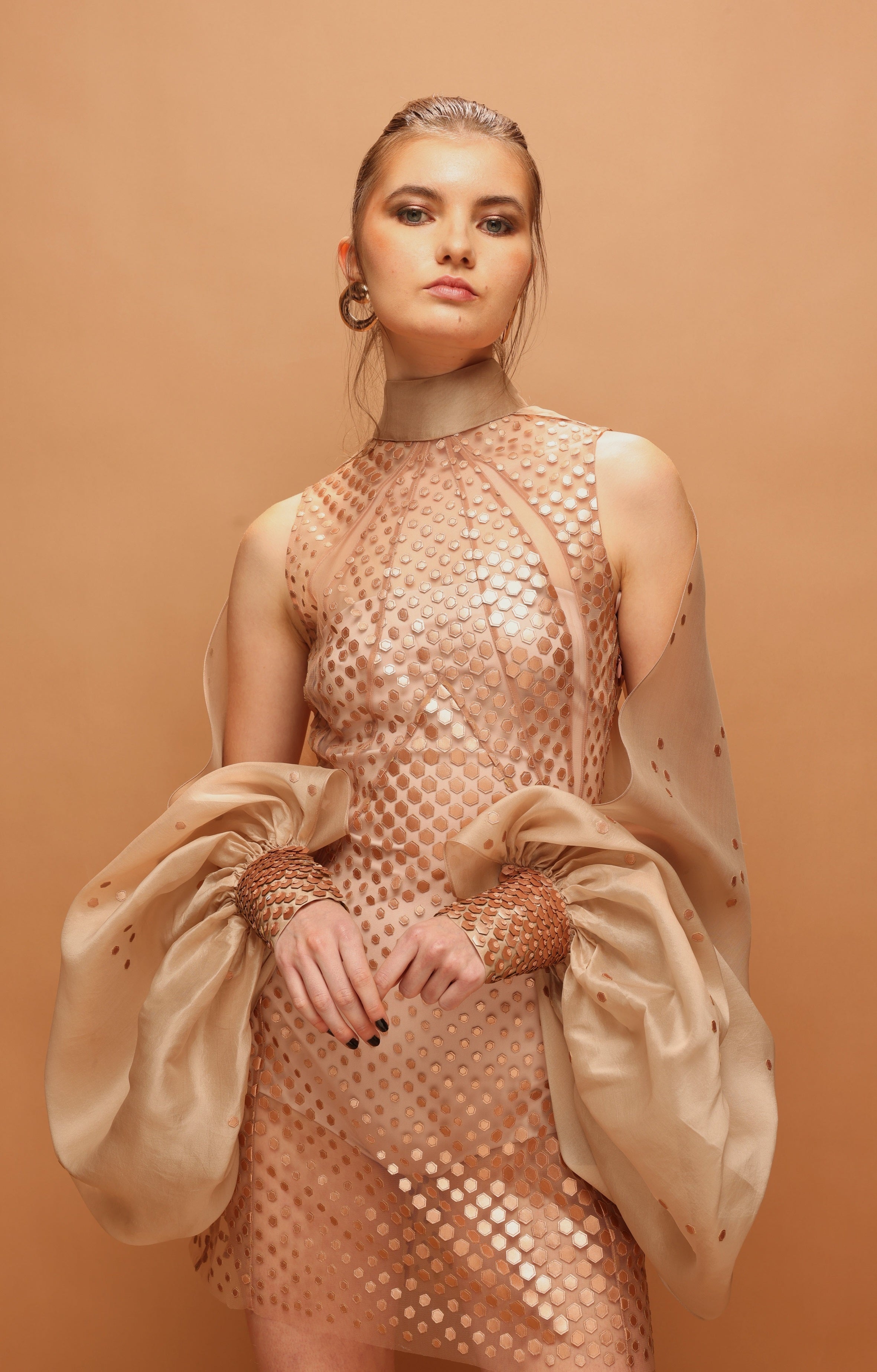 Araquis Galaxy Sheer Dress