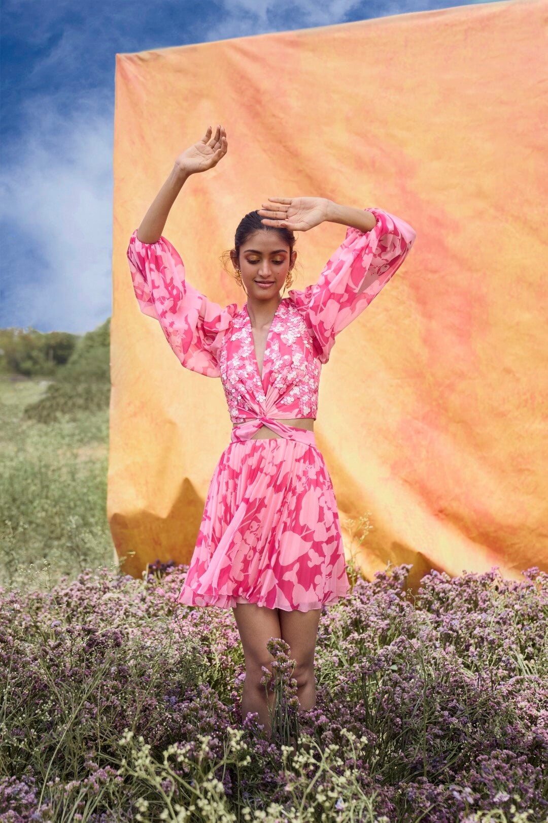 Cleo Cut-Out Embroidered Mini - Main Image